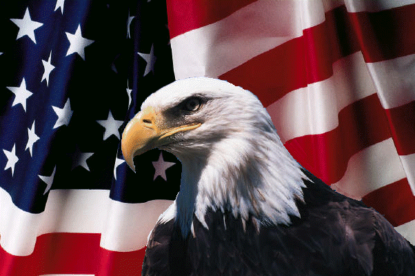 eagleflag.gif